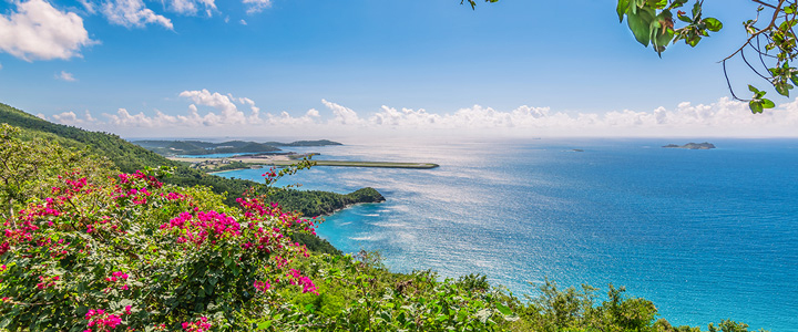 Von einem Hang auf Saint Thomas reicht der Blick über leuchtende Bougainvillea auf das türkisfarbene Karibische Meer und die ins Wasser ragende Landebahn.
